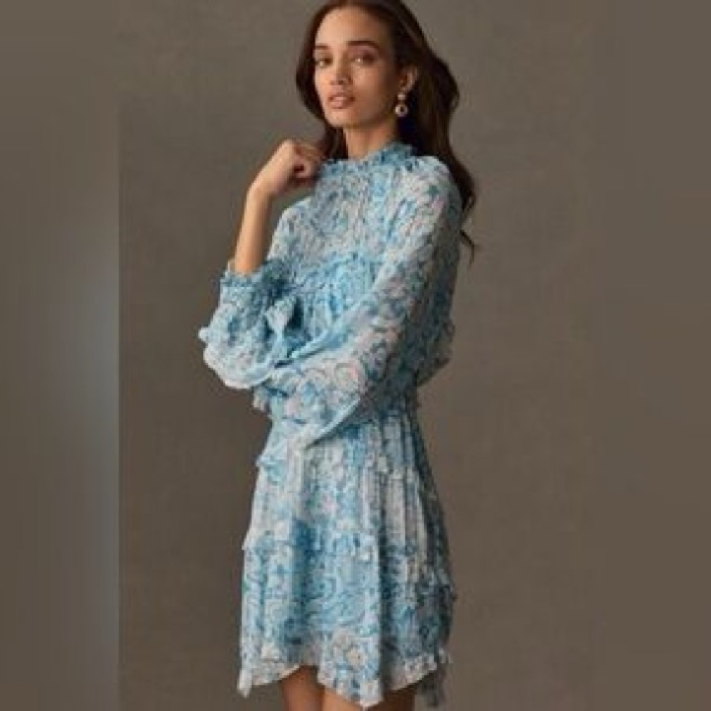 Anthropologie Blue and White Long Sleeve Dress